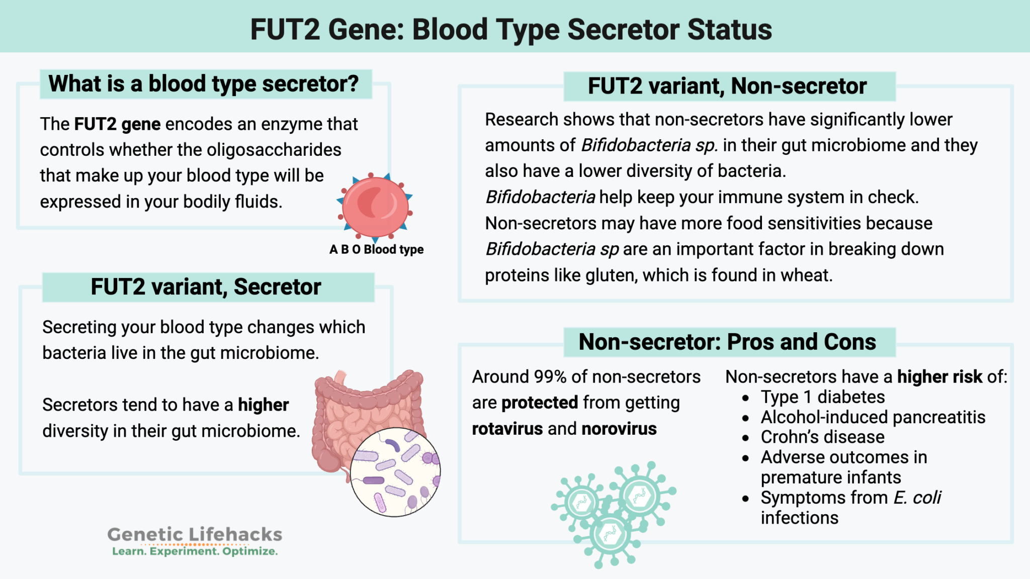 Secretor or Nonsecretor? How to check your genes