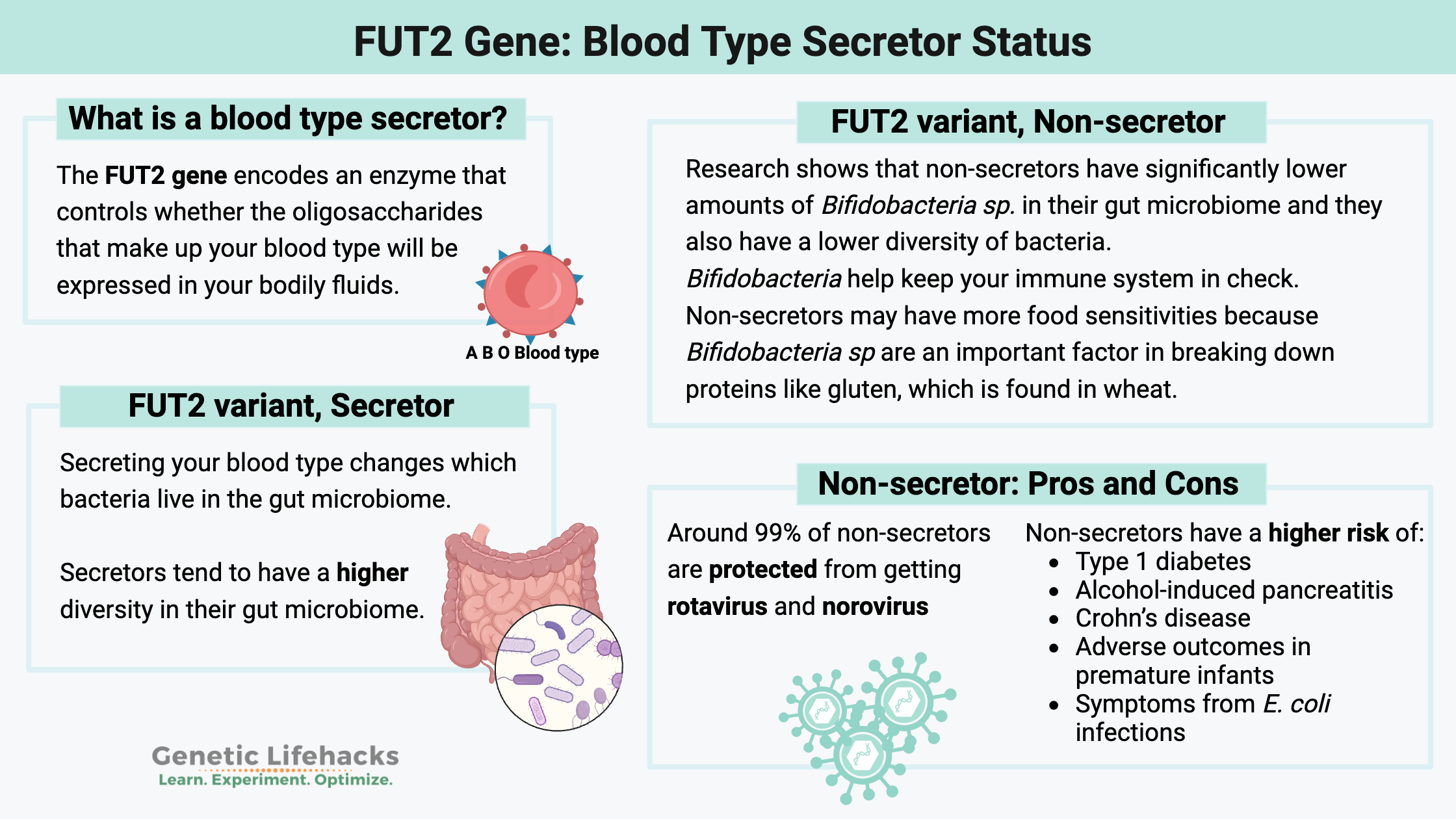 FUT2 blood type secretor status gene