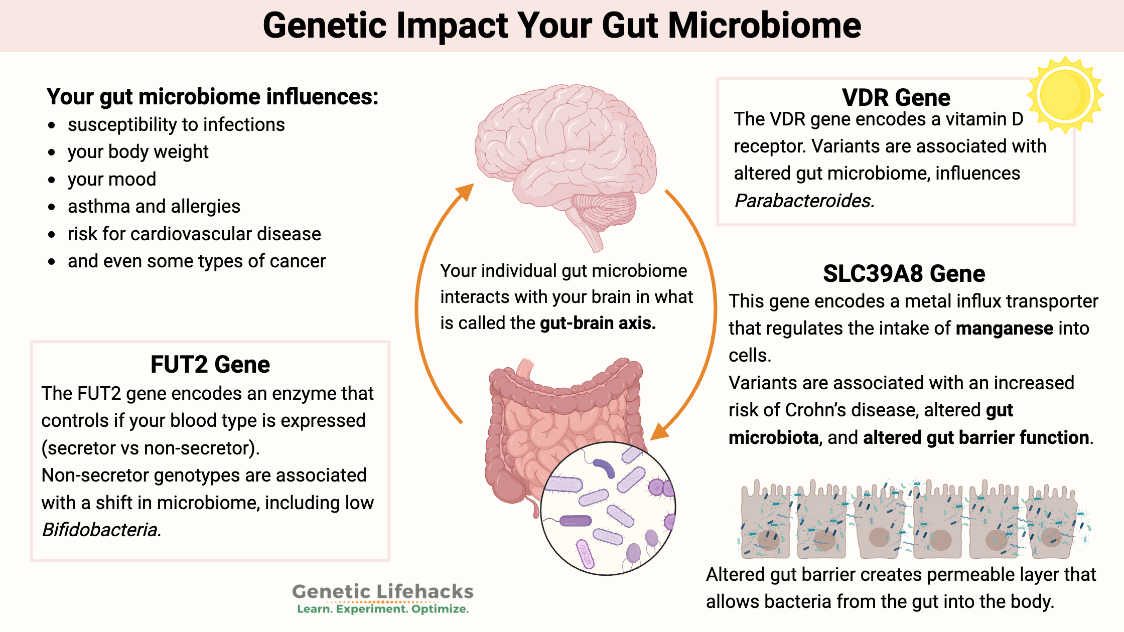 Genetic Impact Your Gut Microbiome,