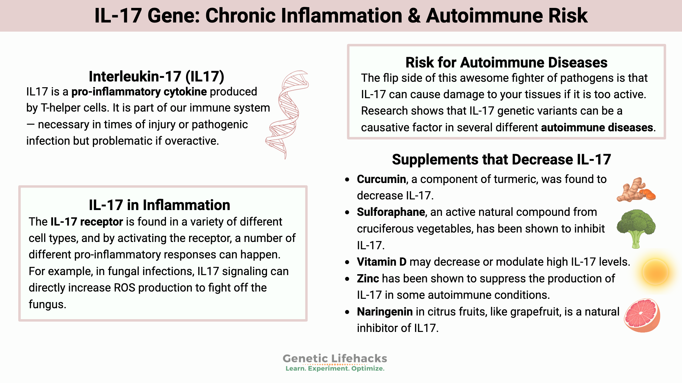 IL-17 Gene: Chronic Inflammation & Autoimmune Risk