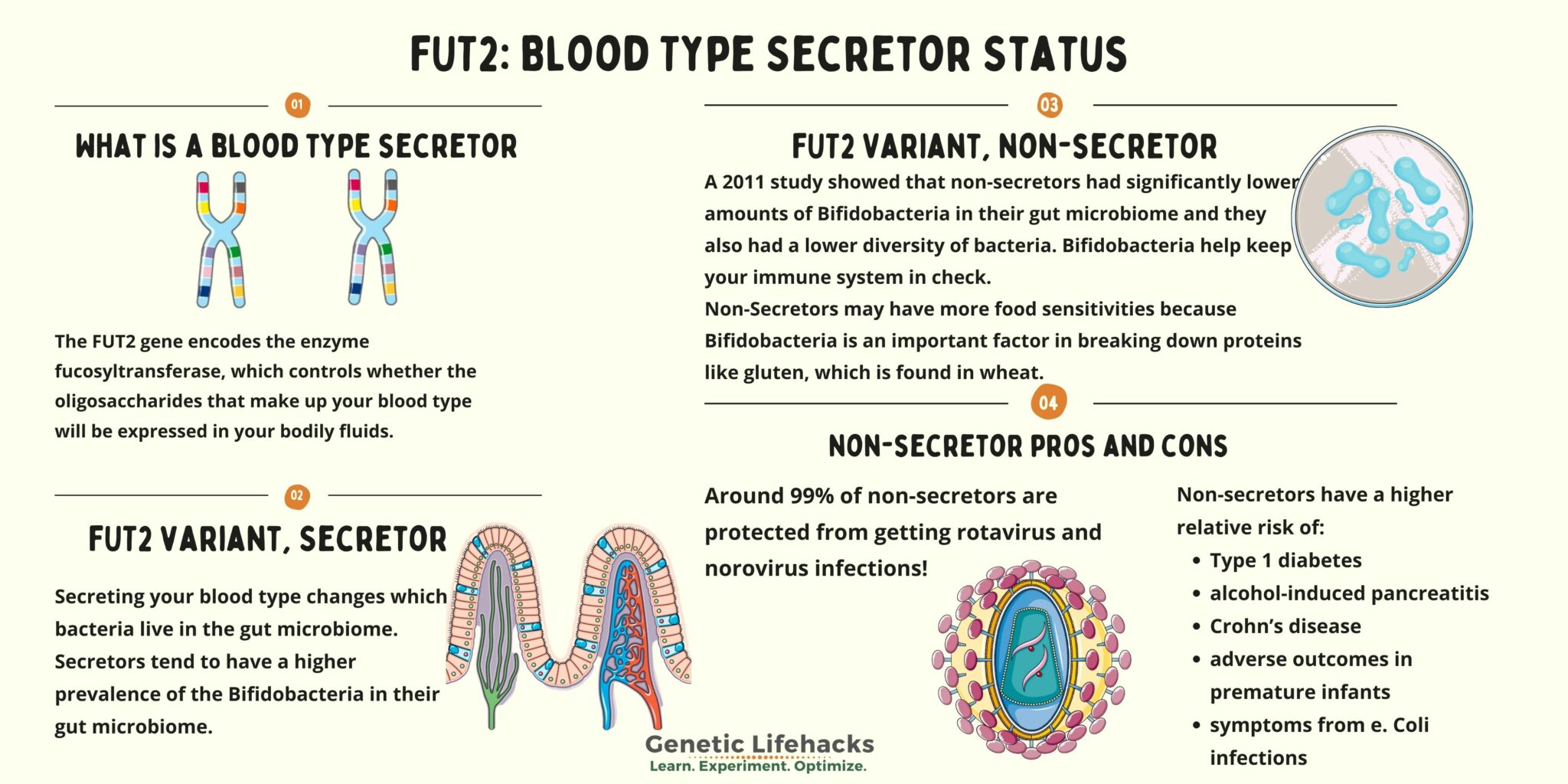 Secretor or Non-secretor? How to check your genes