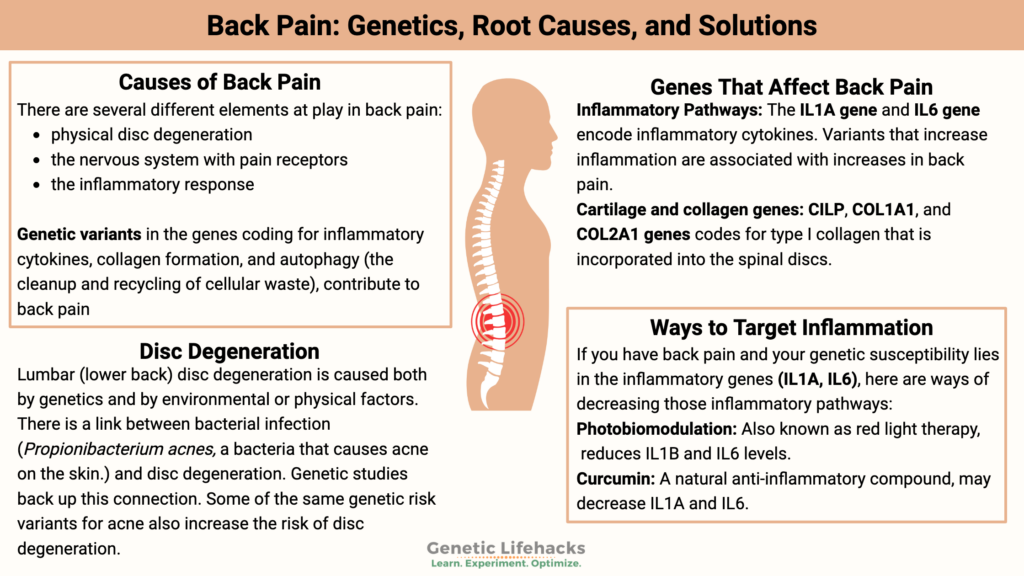 Back Pain: Genetics, Root Causes, and Solutions