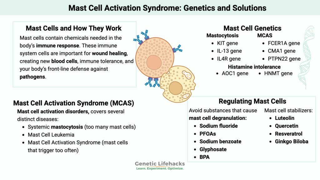 Mast cell activation syndrome genetics and solutions