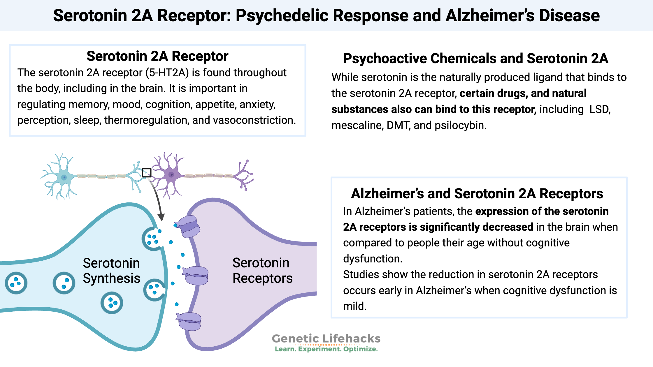 Serotonin 2A Receptor: Psychedelic Response and Alzheimer’s Disease