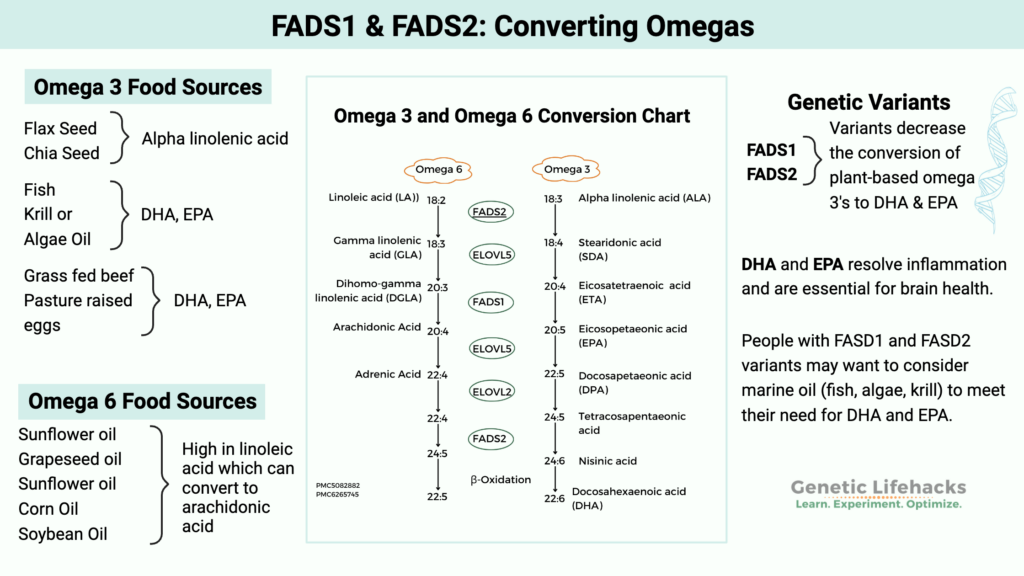 FASD1 and FASD2 genes, converting Omega 3&6 in DHA and EPA