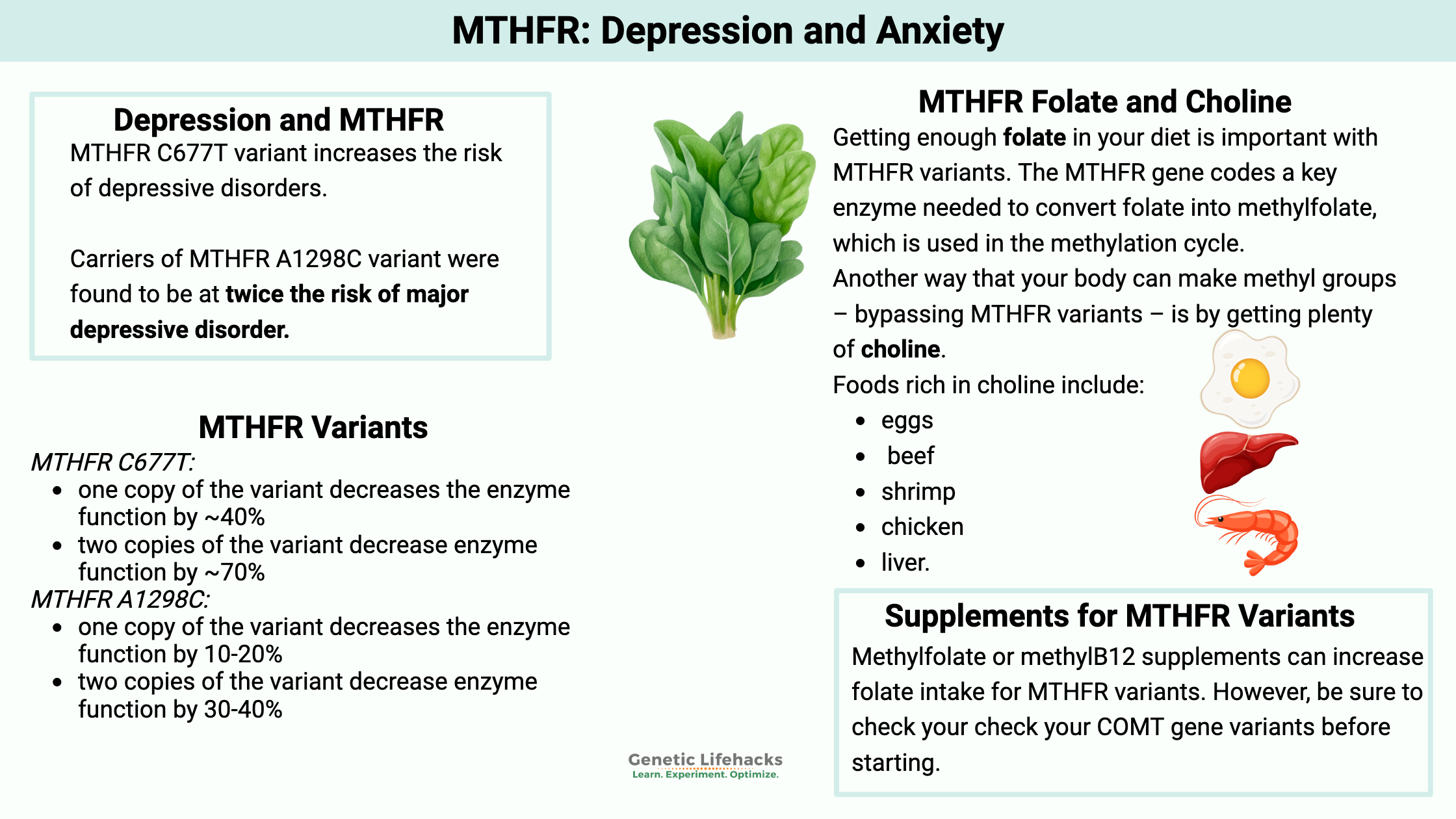 MTHFR variants and depression and anxiety