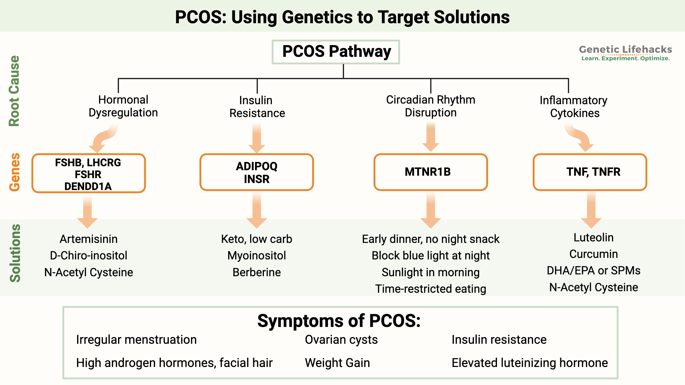 PCOS Genes, pathway, solutions, PCOS symptoms