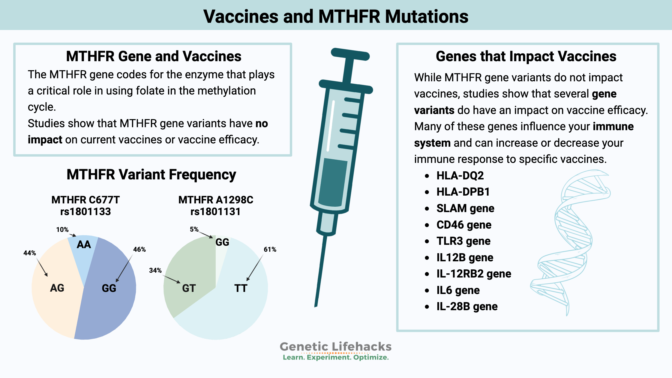 Vaccines and the MTHFR mutation - Genetic Lifehacks