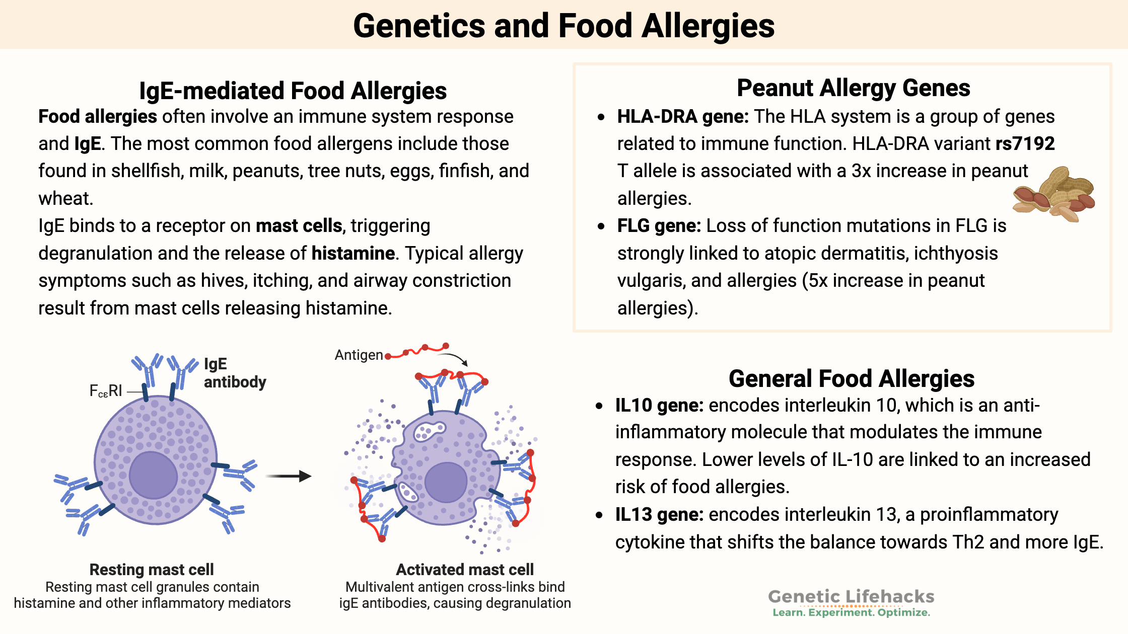 IgE-mediated Food Allergies, non-IgE-mediated Food Allergies