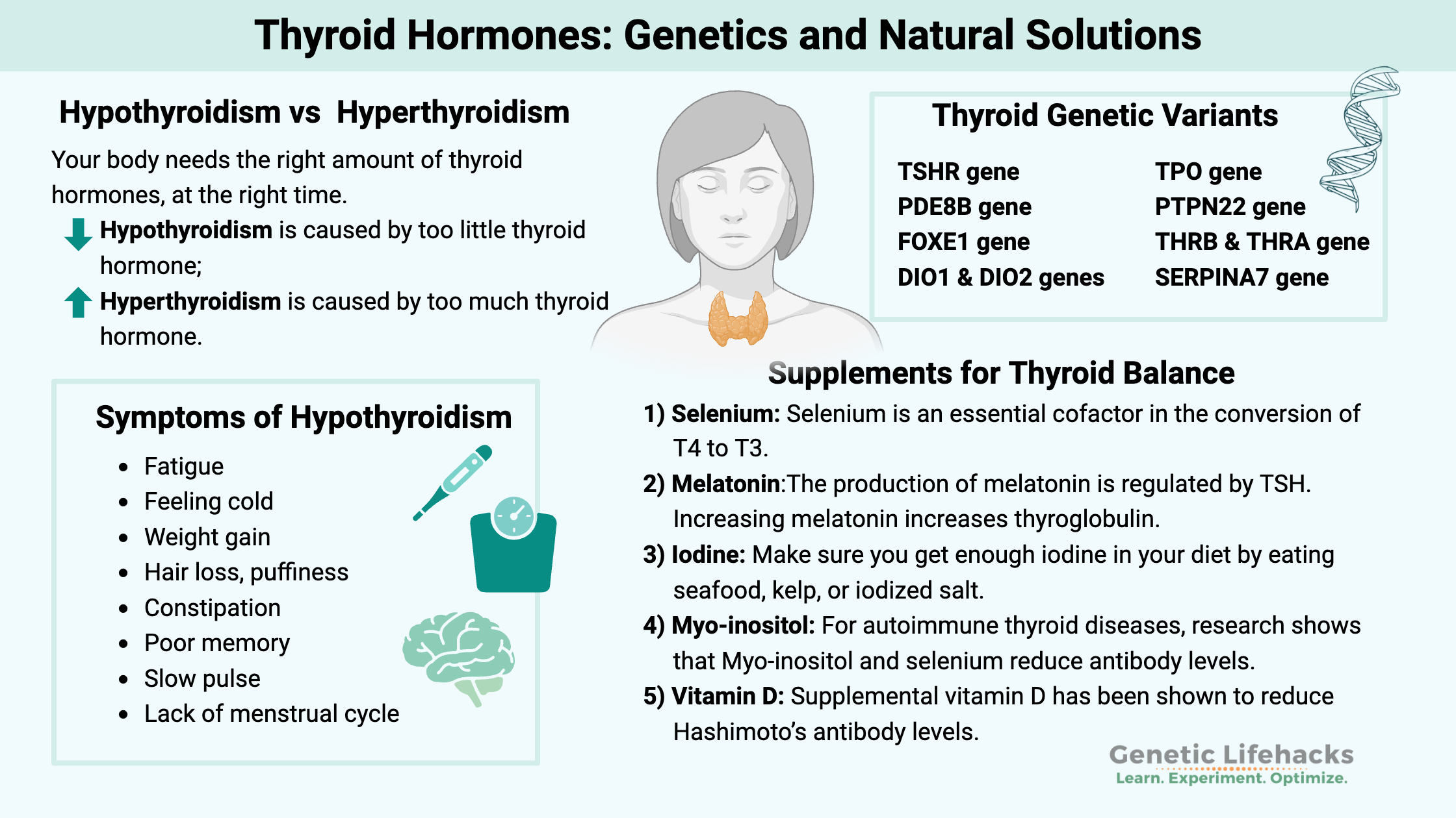 Thyroid Hormones Genetics, Supplements for Thyroid Balance, Hypothyroidism vs hyperthyroidism