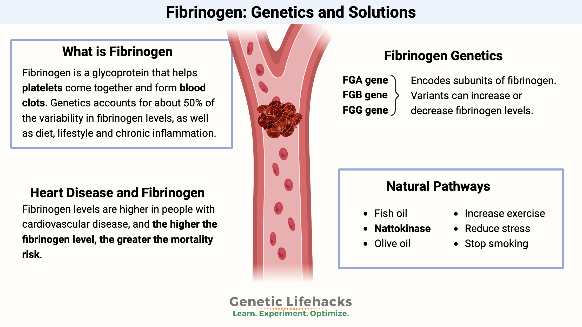 Fibrinogen formation, genetic variants that affect fibrinogen levels, natural pathways to lower fibrinogen, heart disease and fibrinogen