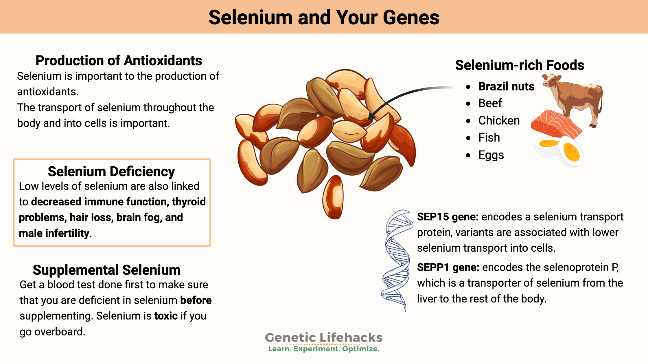 Selenium and Your Genes