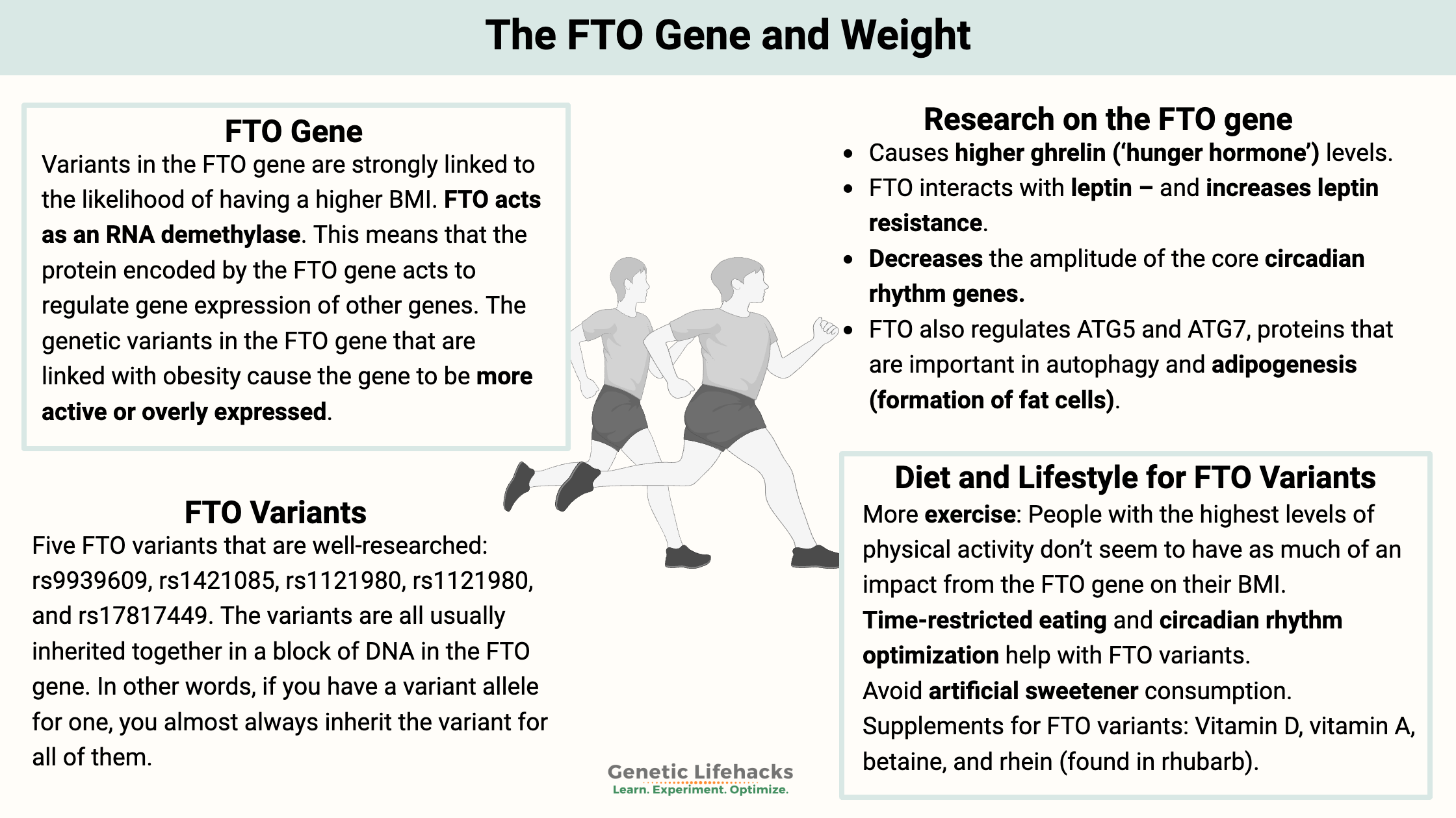 FTO Gene and risk of weight gain, function of FTO gene, diet and lifestyle for FTO gene variants