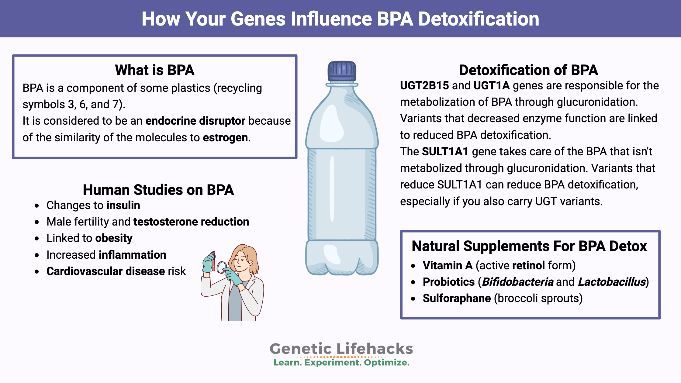 How Your Genes Influence BPA Detoxification, UGT genes, SULT genes