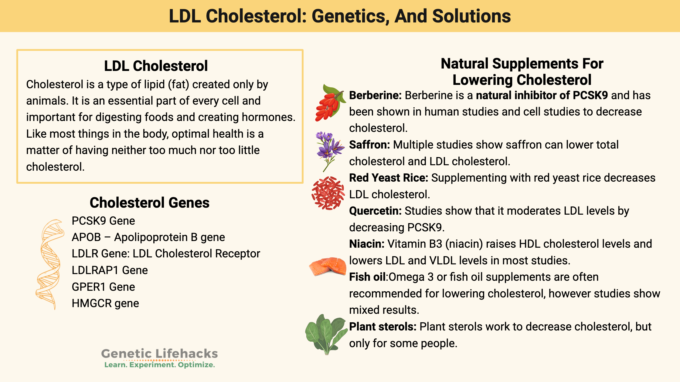 LDL cholesterol genes, natural supplements to lower cholesterol