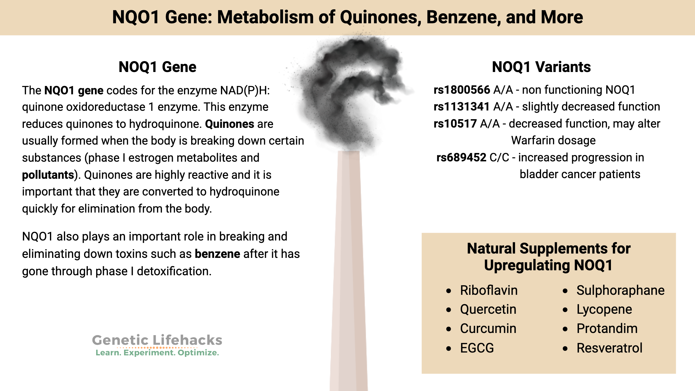 NQO1 Gene, Air pollution detoxification, phase 2 detoxification gene