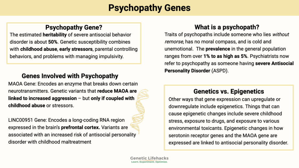 Psychopathy Genetics, epigenetics, environmental factors involved in psychopathy