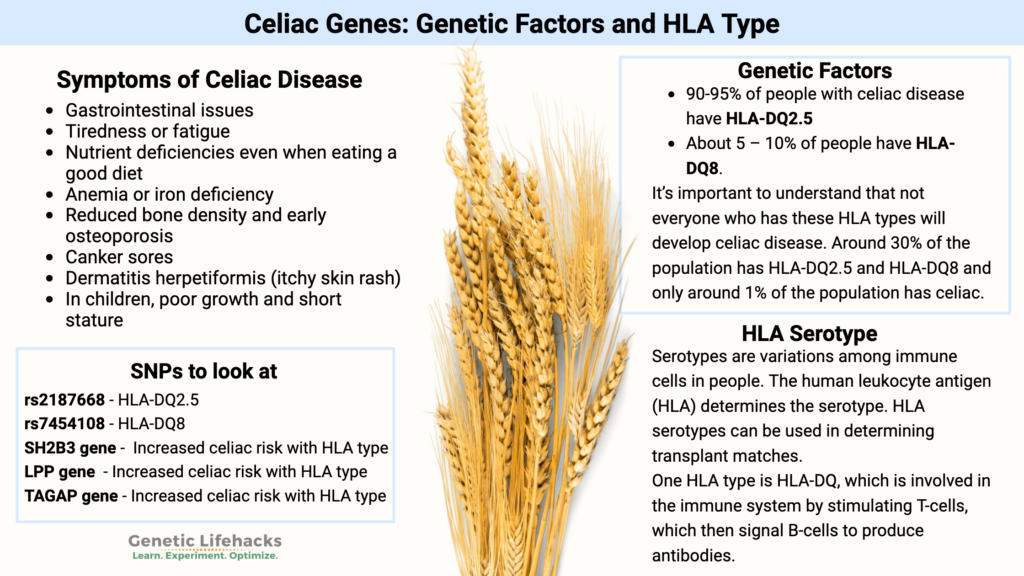 Celiac Disease: Genes, Symptoms and HLA type