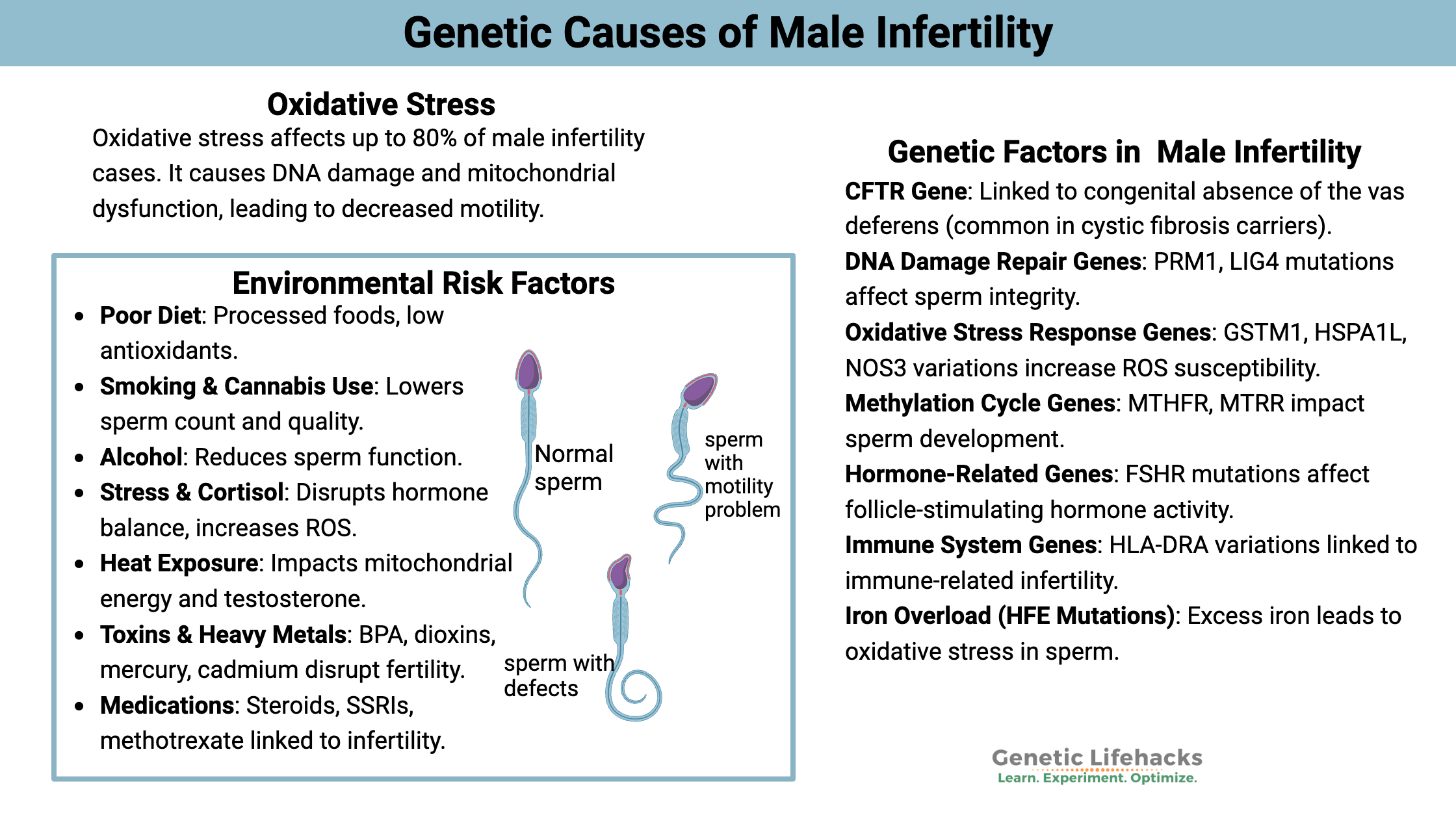 Genetic Causes of Male Infertility