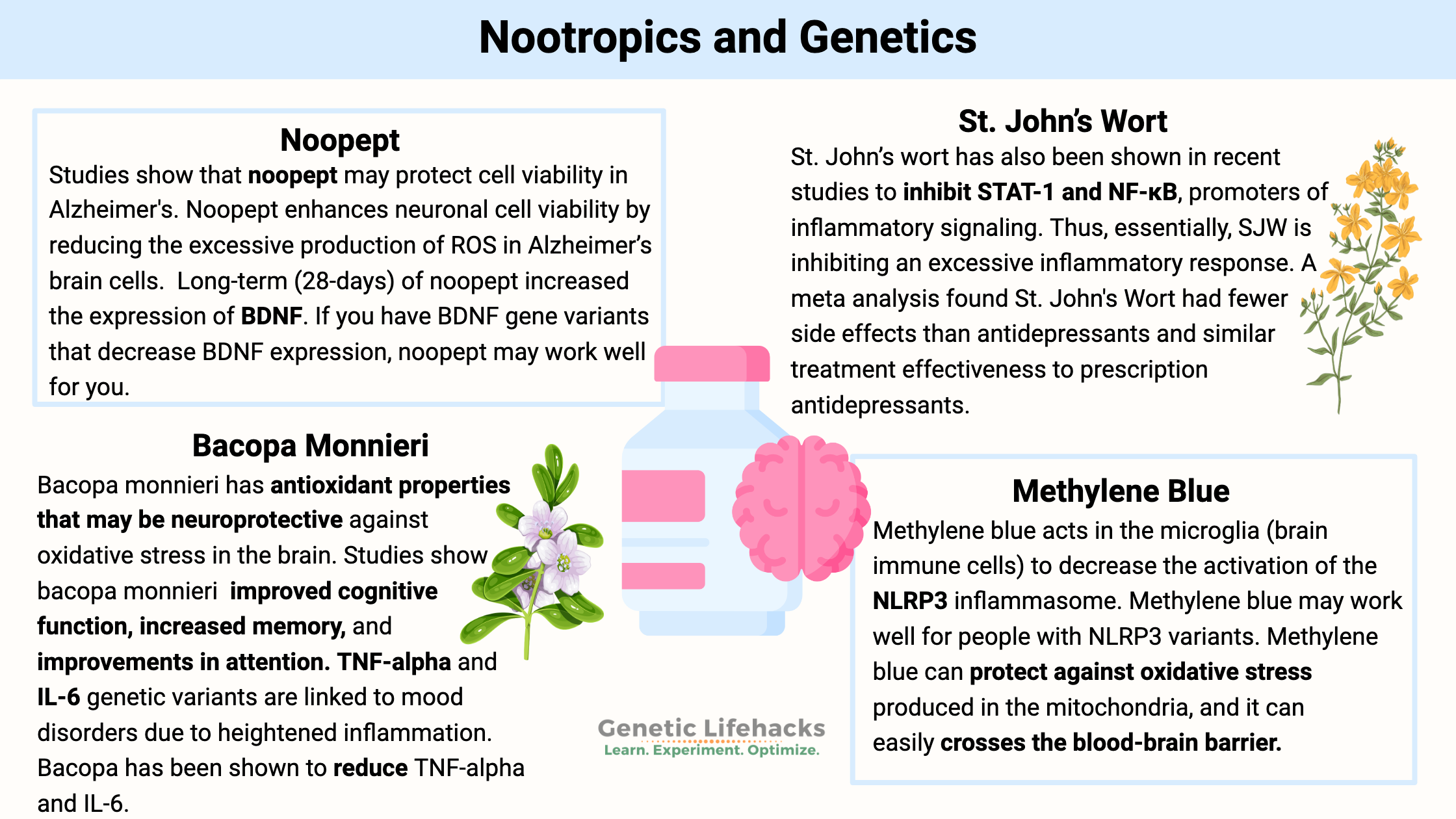 Nootropics and Genetics, Noopept, St. John’s Wort, Methylene Blue, Bacopa Monnieri