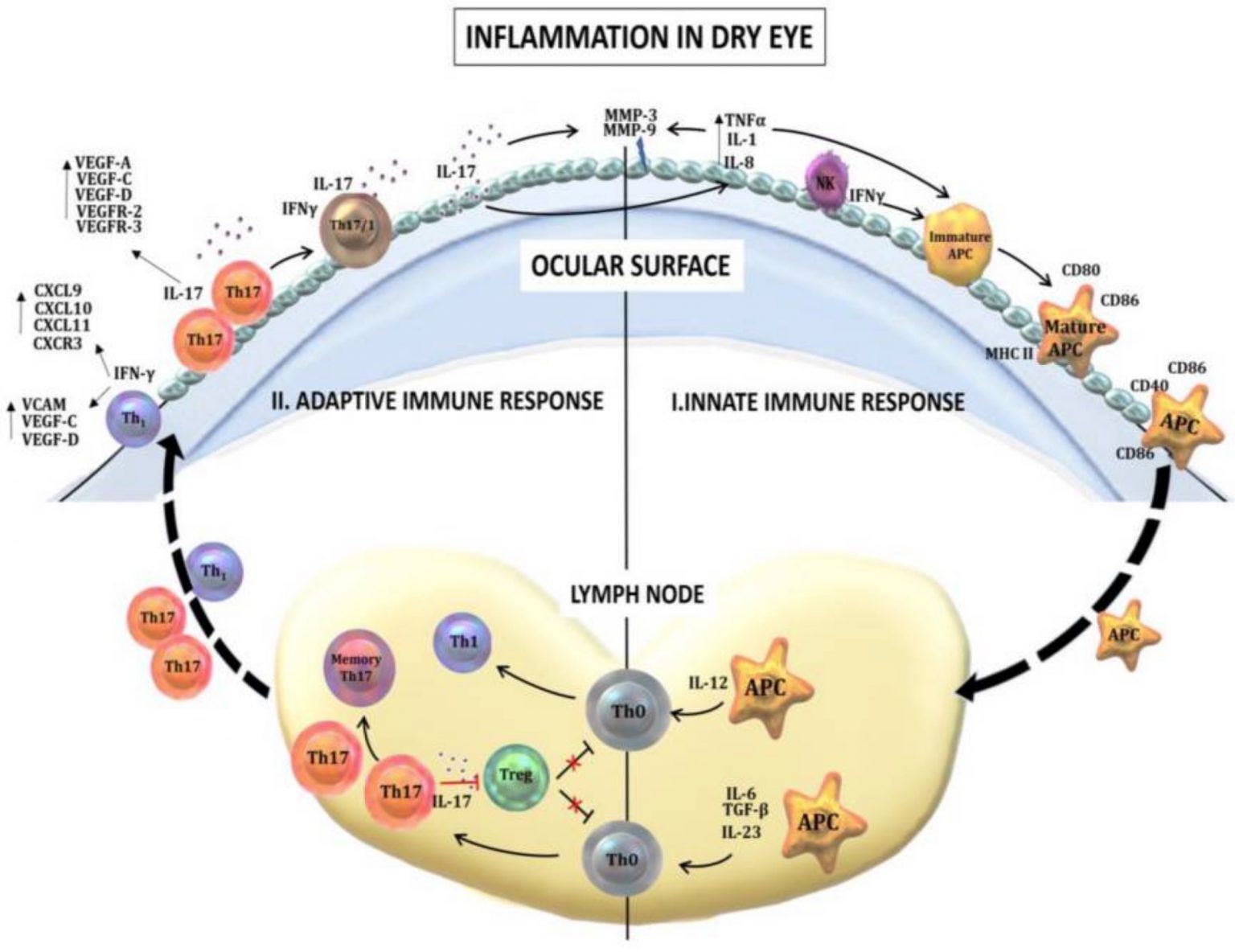 dry-eyes-using-genomics-to-find-solutions