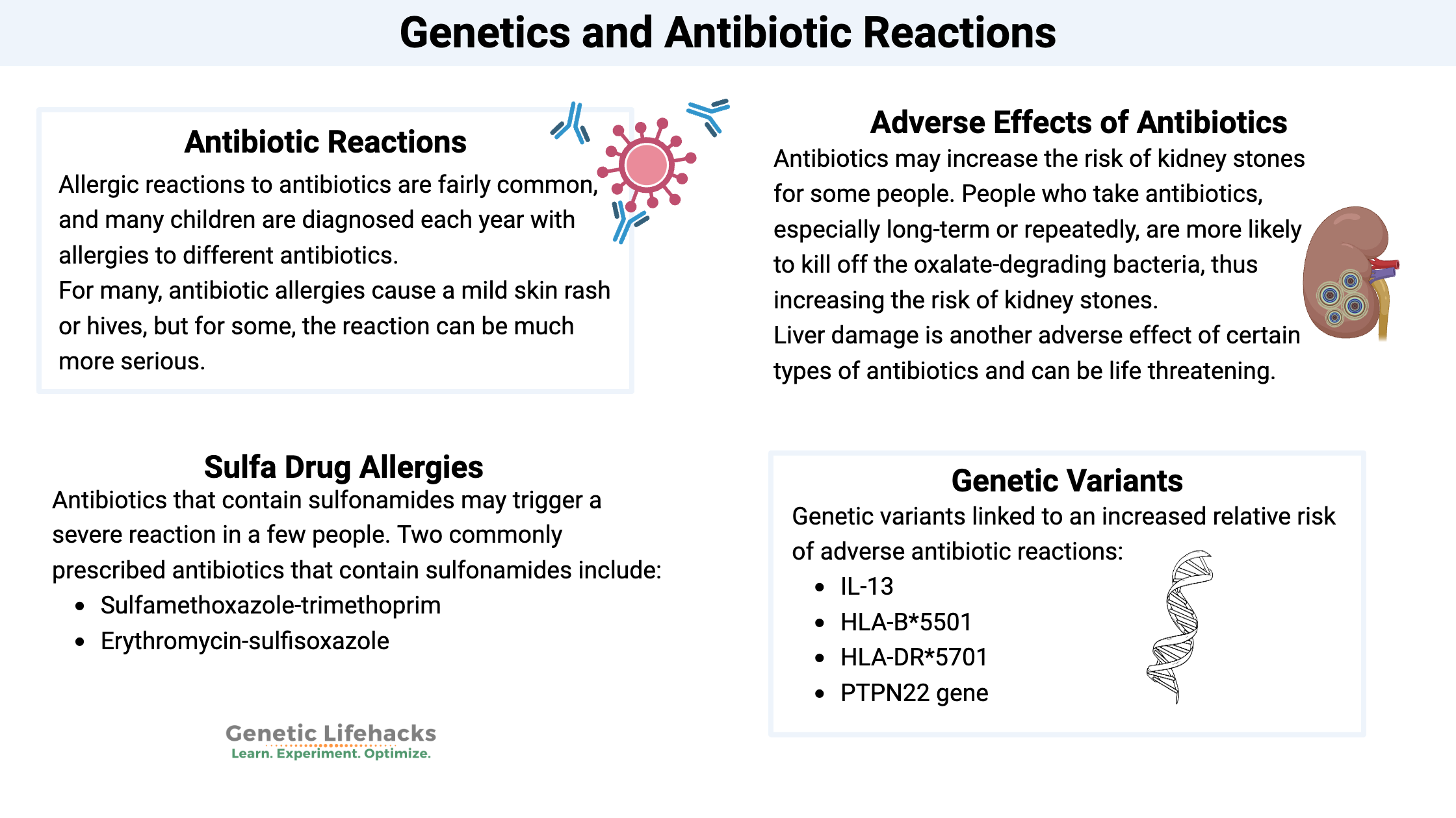 Genetics and Antibiotic Reactions