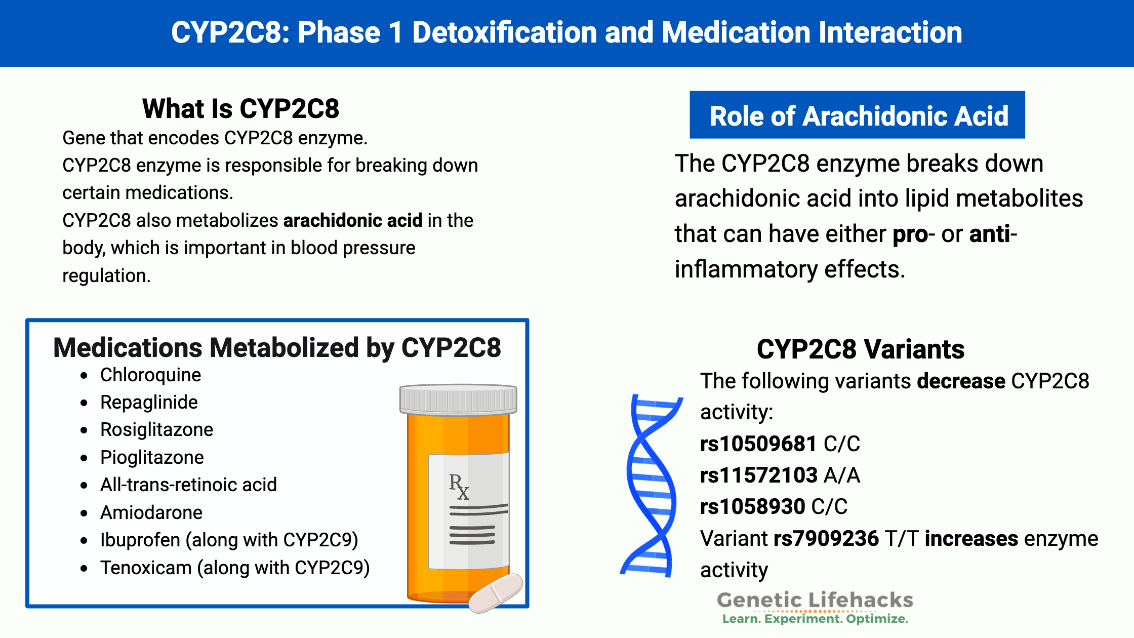 CYP2C8: Phase 1 Detoxification and Medication Interaction