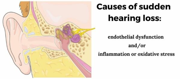 Sudden Hearing Loss: Viruses, Vaccines, and Genes