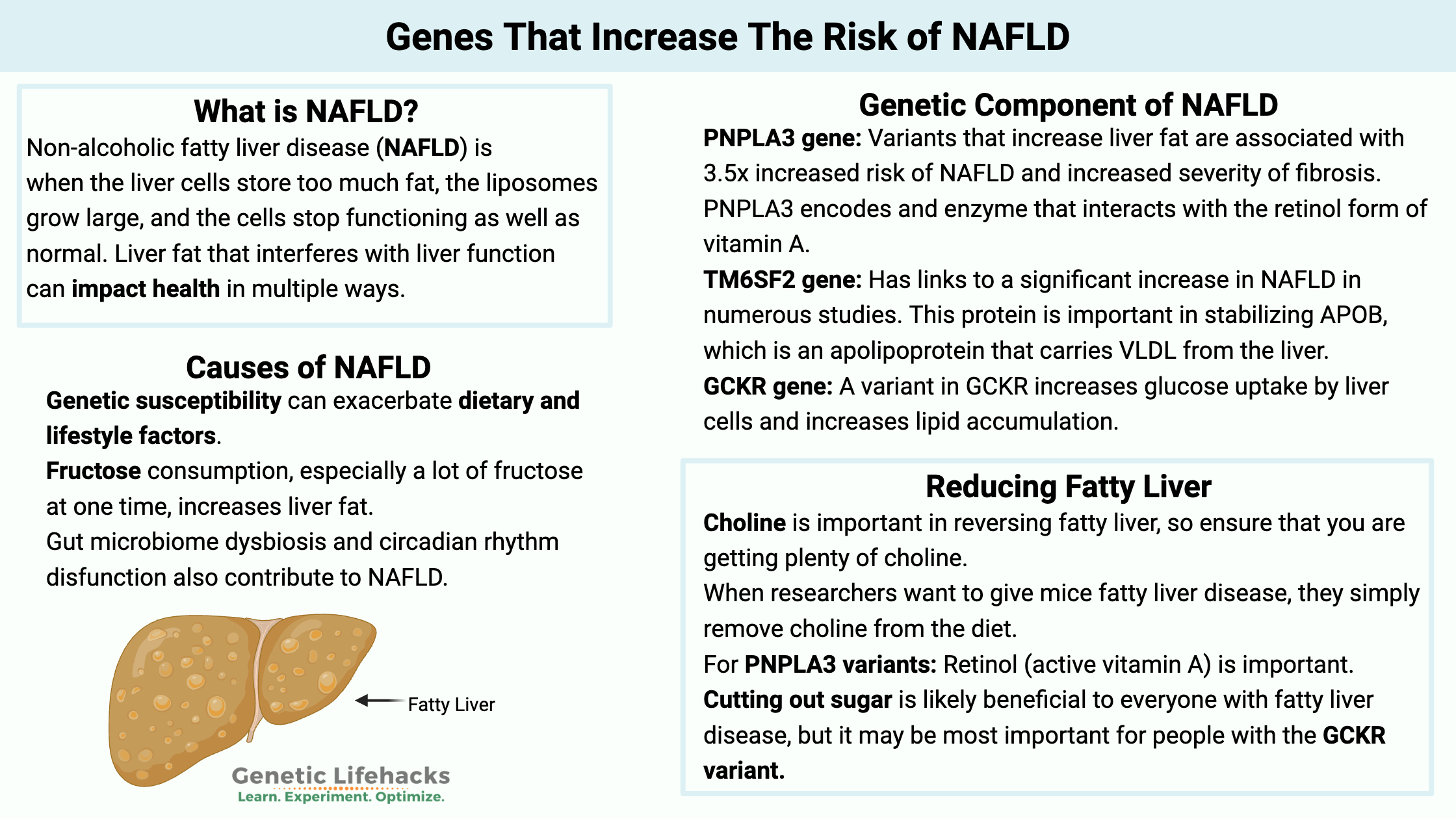 Causes of non-alcoholic fatty liver disease, genes that increase risk of NAFLD