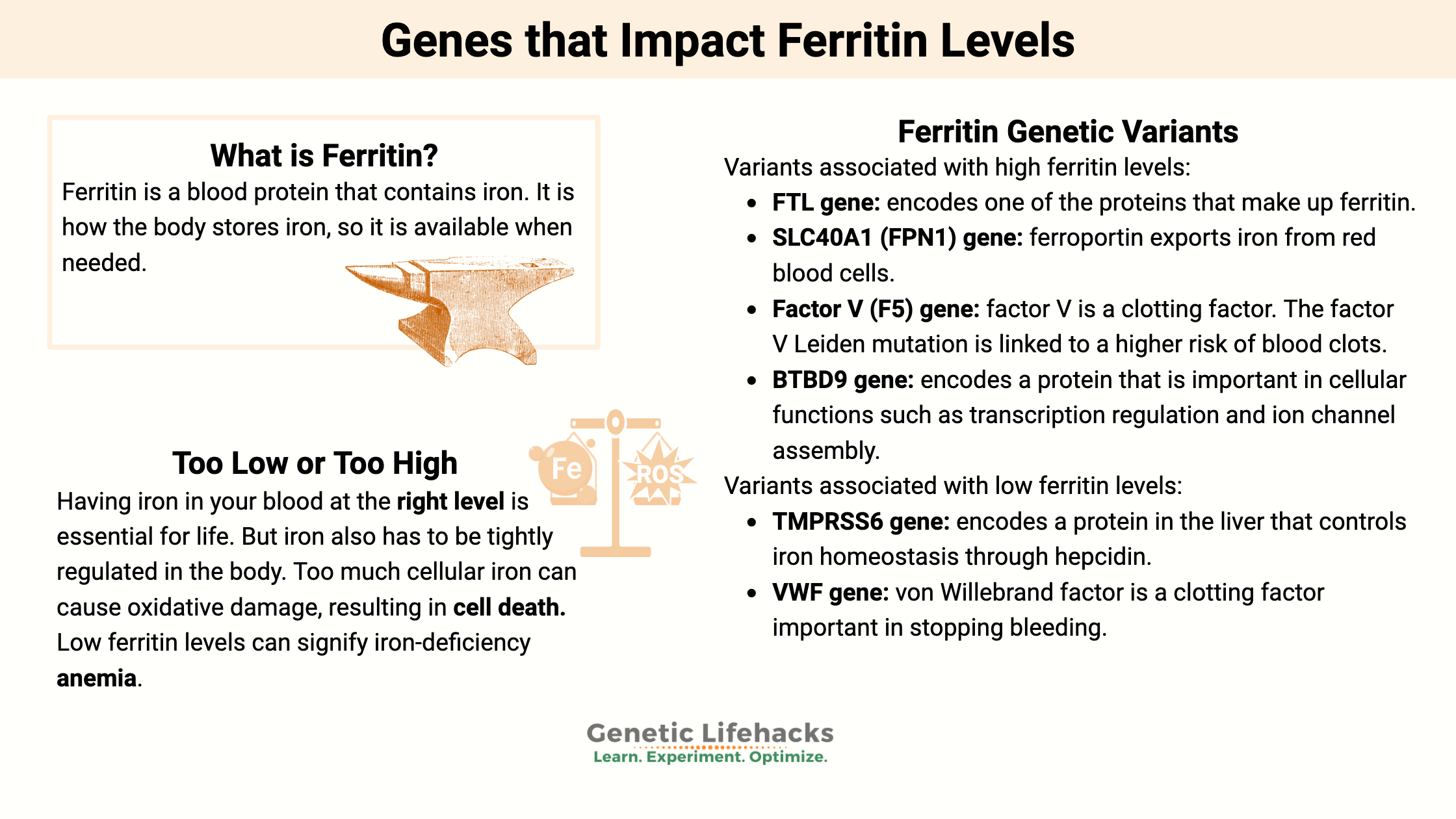 Genes that Impact Ferritin Levels