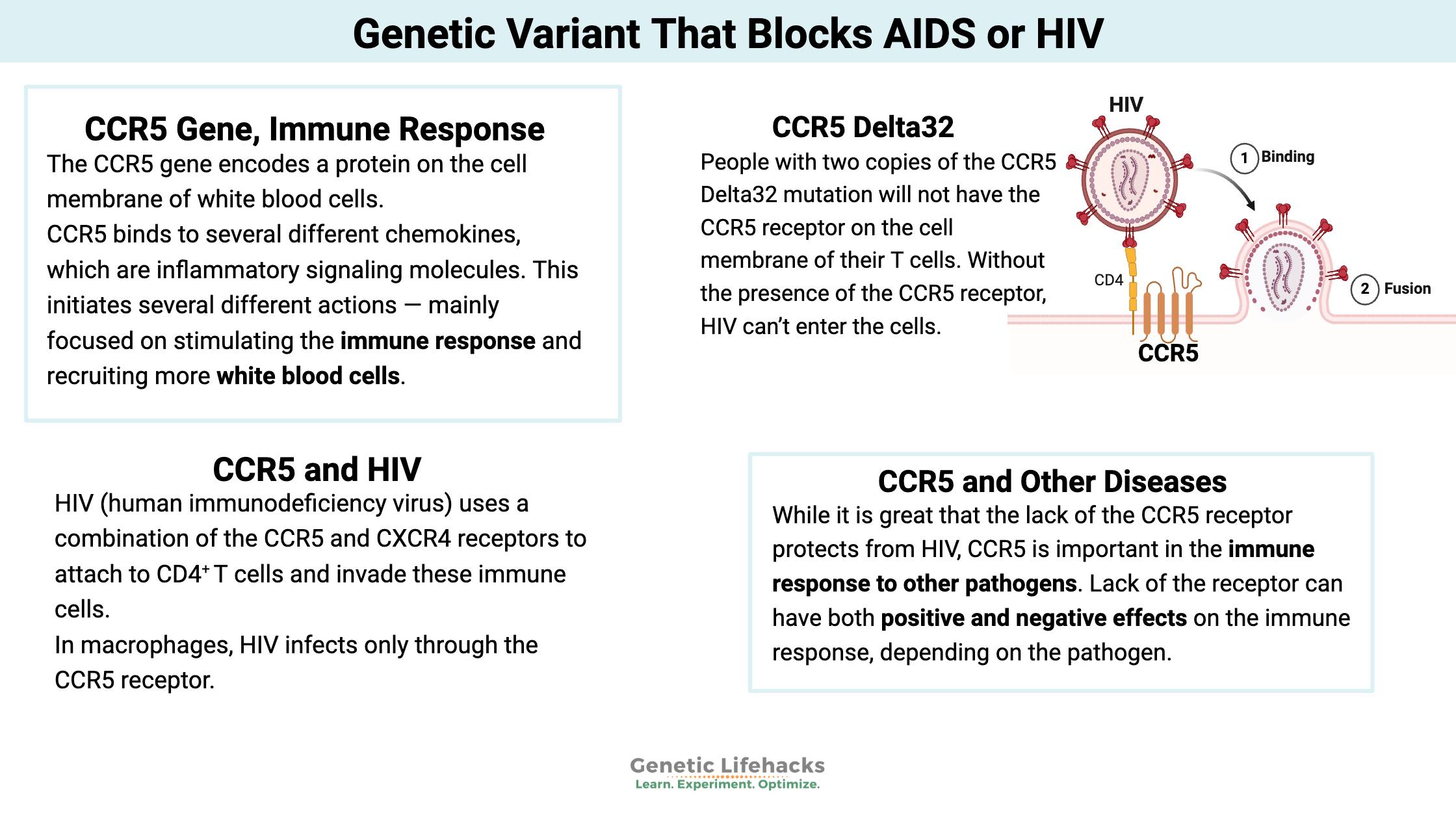 CCR5 Gene, Immune Response, Mutation-that-blocks-you-from-getting-AIDS-or-HIV