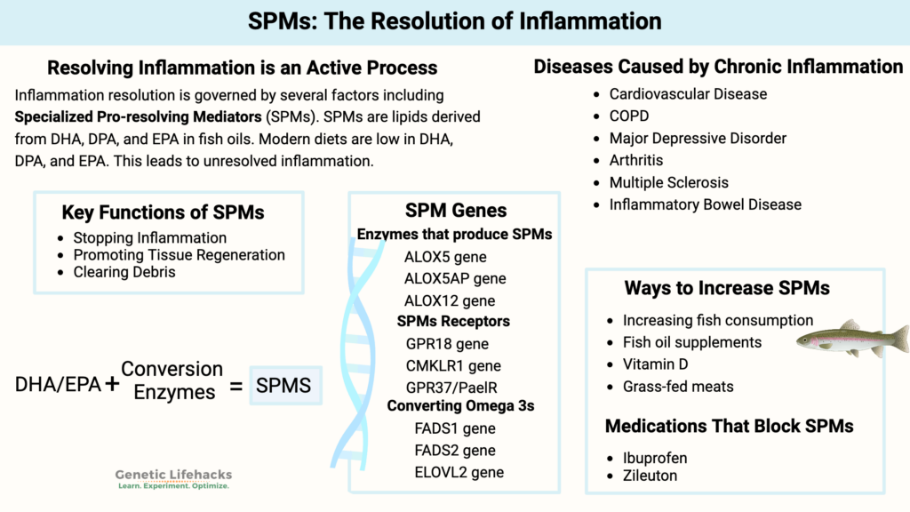 Special Pro-resolving Mediators(SPMs), active resolution of inflammation, genes affecting SPMs, diseases caused by inflammation