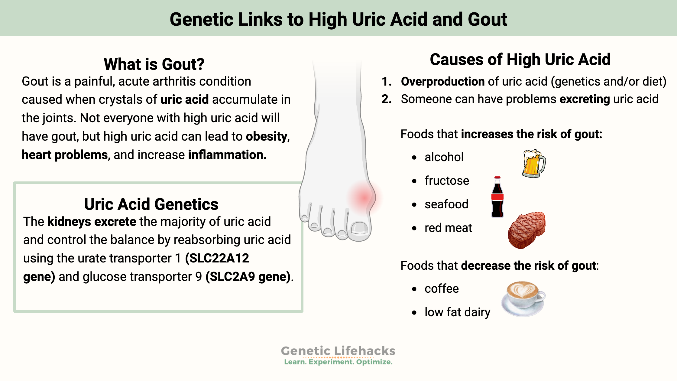 Genetic Links to High Uric Acid and Gout, foods that increase risk of gout