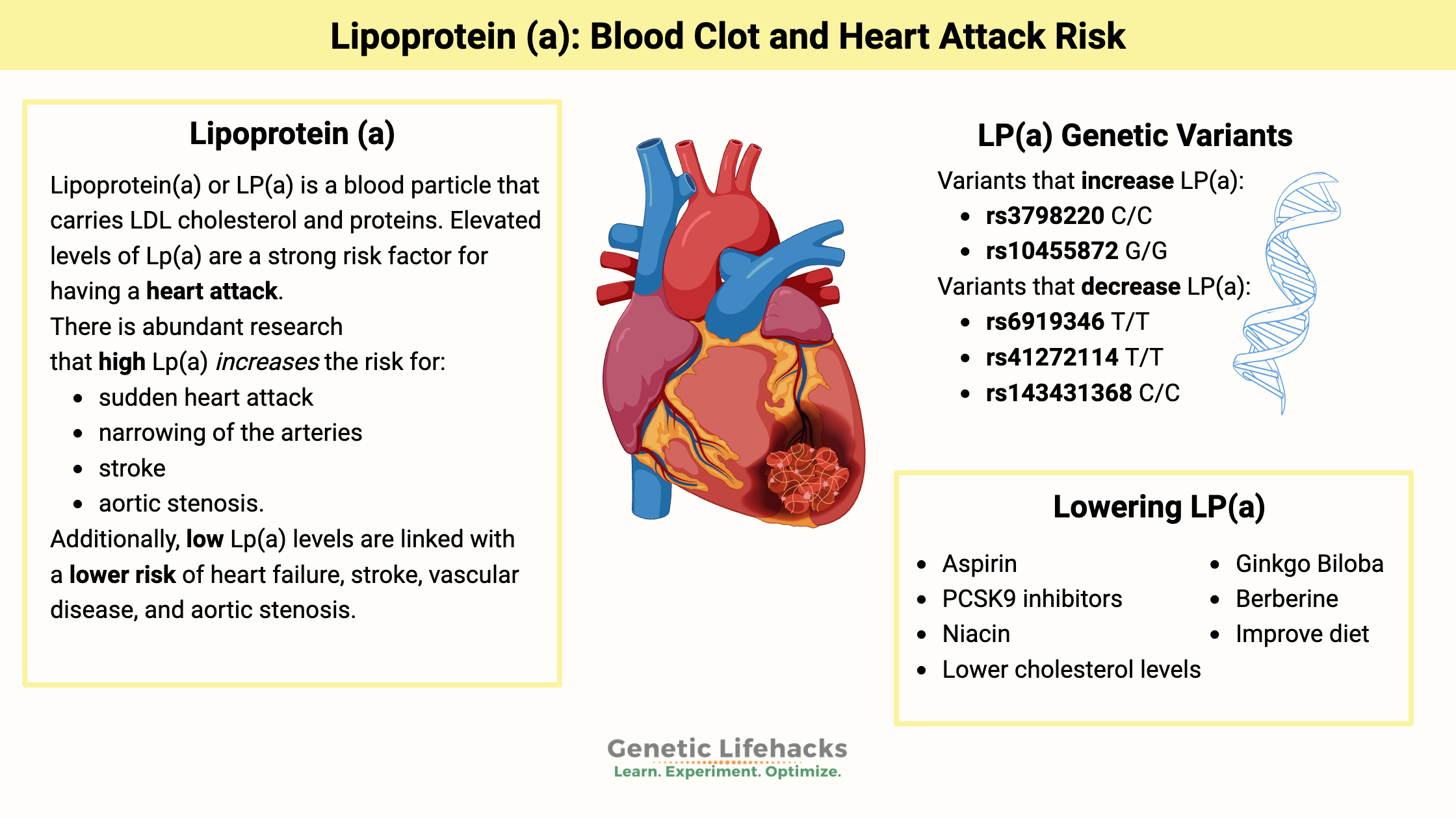 Lipoprotein a genetic variants, LP(a) heart attack risk, ways to lower LP(a)