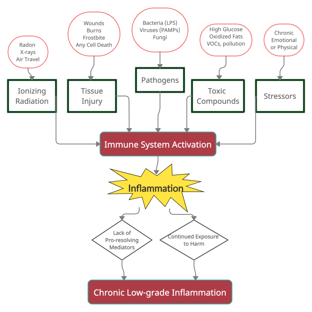 Chronic Inflammation: Causes and Natural Solutions