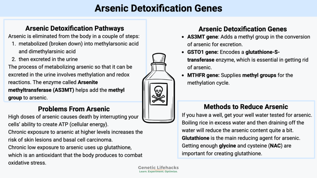 Arsenic detoxification genes, ways to reduce arsenic exposure