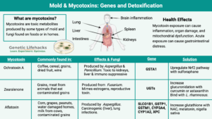 Mycotoxins, Mold genes, mycotoxins detoxification