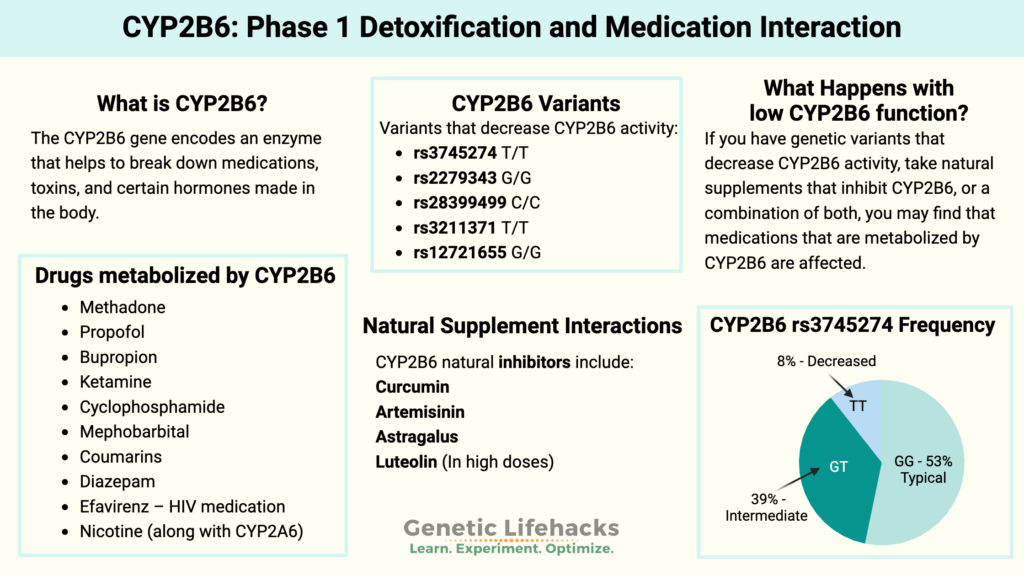 CYP2B6 drug and supplement interaction - part of CYP450 family of genes