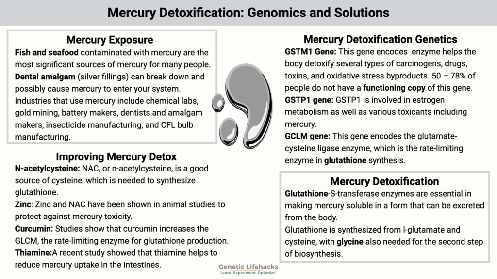 Mercury Detoxification: Genomics and Solutions