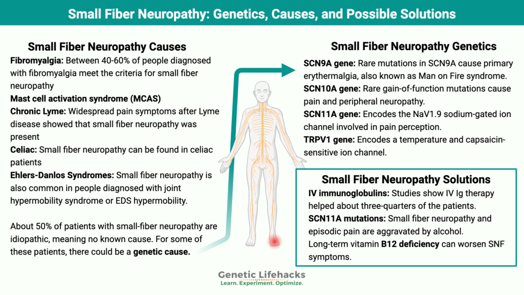 Small Fiber Neuropathy causes, genetics of Small Fiber Neuropathy, SFN solutions