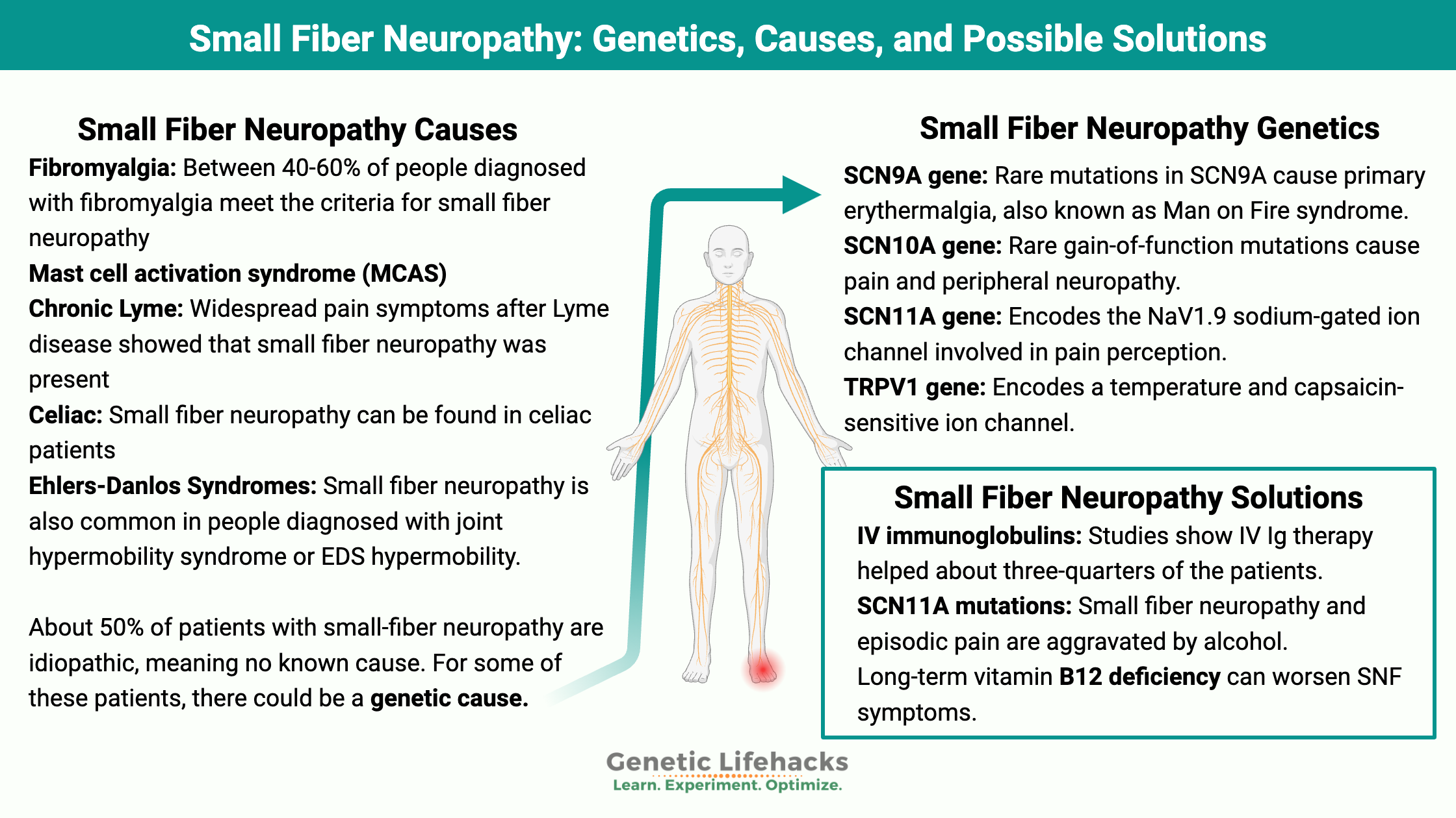 Small Fiber Neuropathy causes, genetics of Small Fiber Neuropathy, SFN solutions