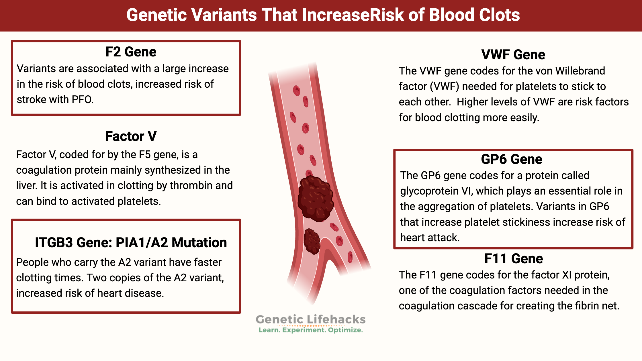  Genetic Variants That IncreaseRisk of Blood Clots, F2 Gene, Factor V, ITGB3 Gene: PIA1/A2 Mutation, VWF Gene, GP6 Gene, F11 Gene