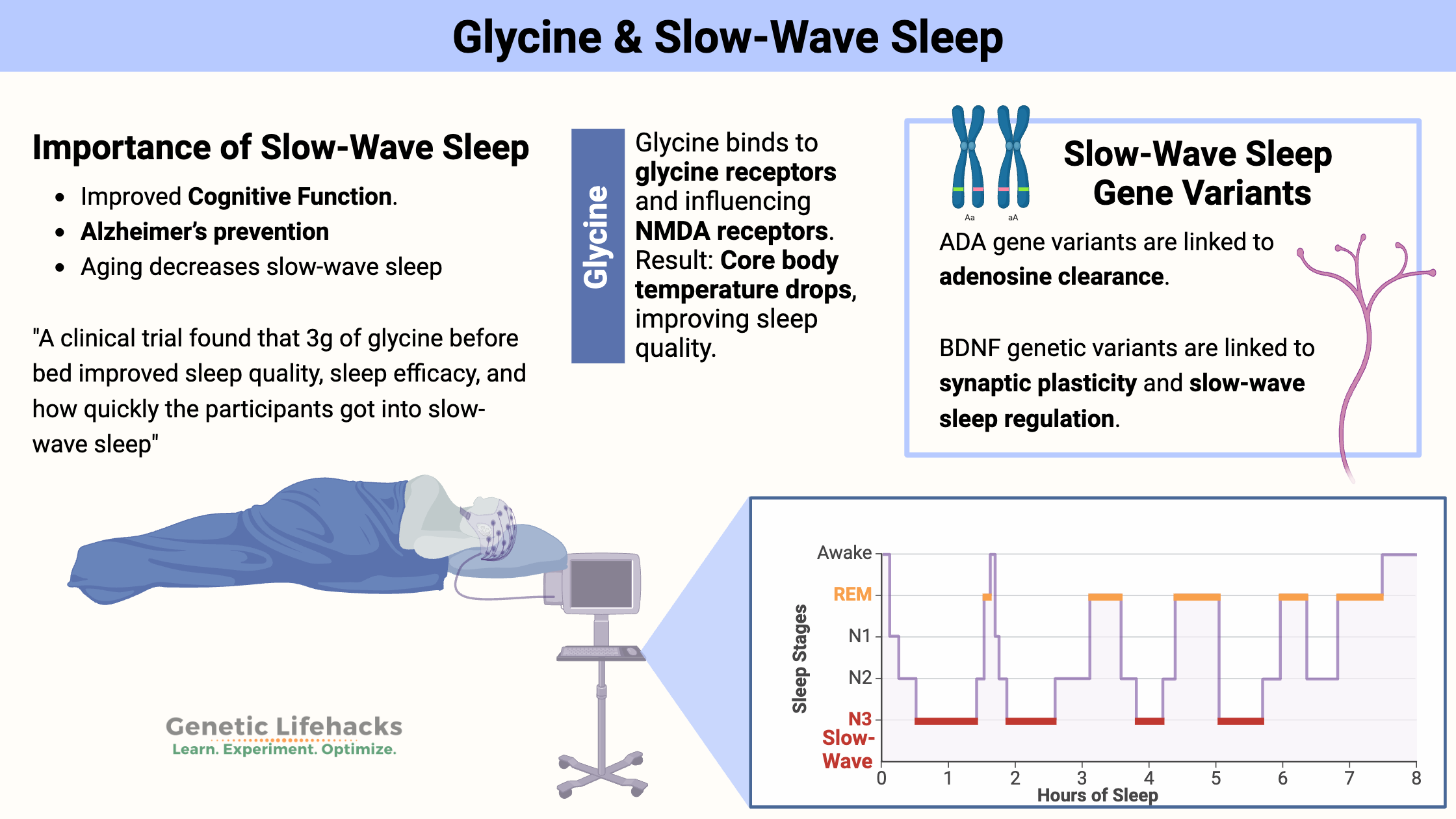 Genes and slow wave sleep, glycine helps boost slow-wave sleep