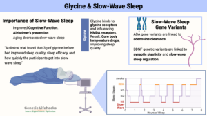 Genes and slow wave sleep, glycine helps boost slow-wave sleep