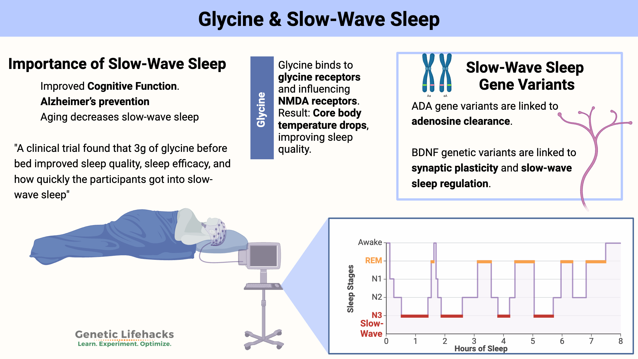 Genes and slow wave sleep, glycine helps boost slow-wave sleep