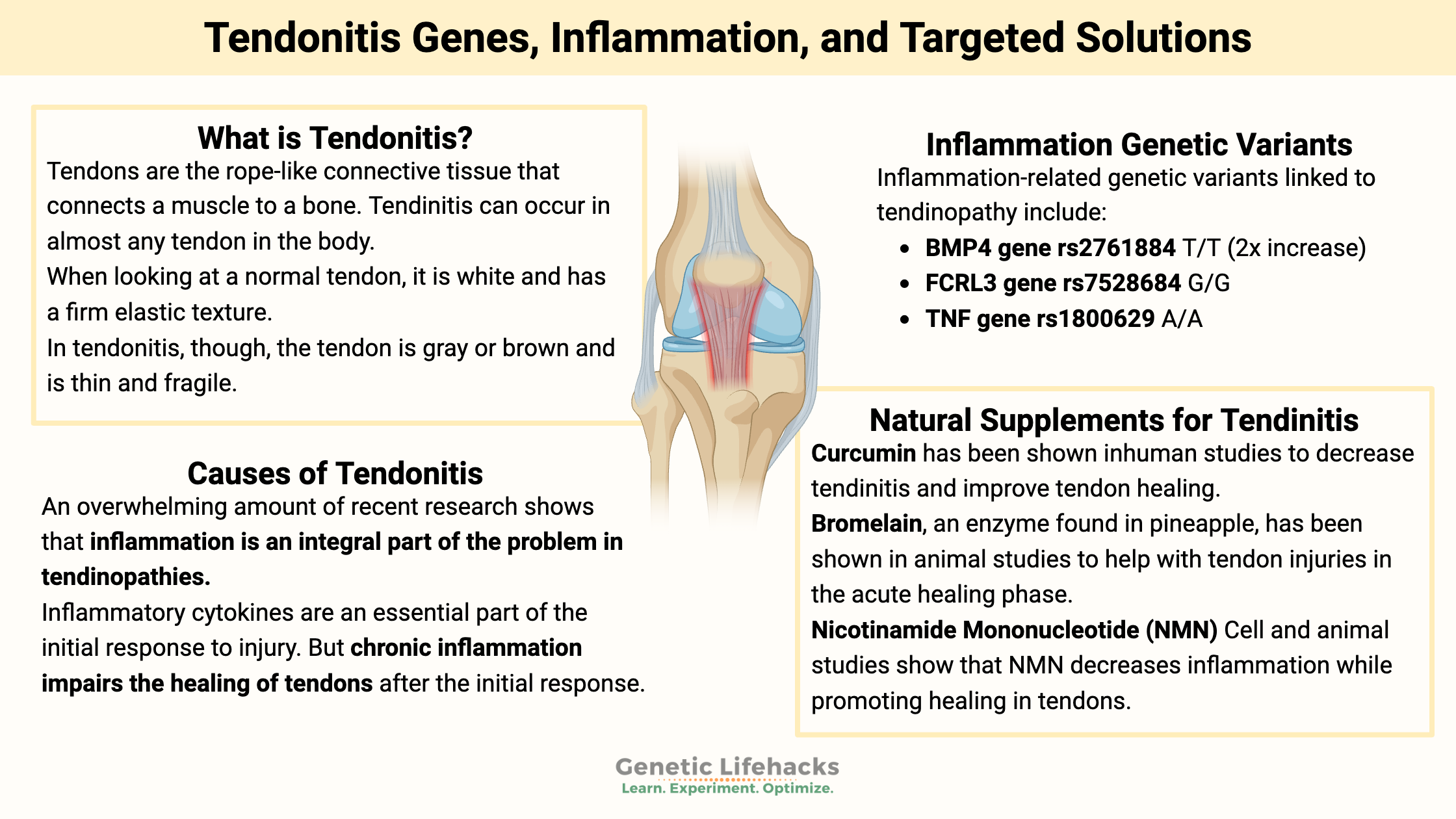 Tendonitis Genes, Inflammation, and Targeted Solutions