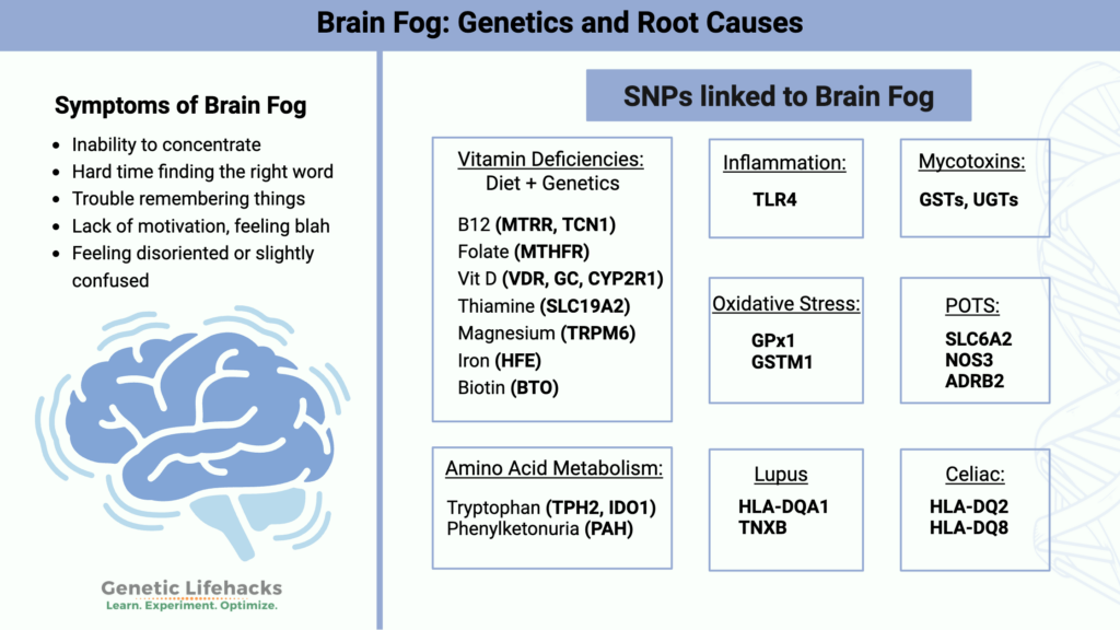 Brain Fog SNPs, Brain fog genetics, brain fog symptoms