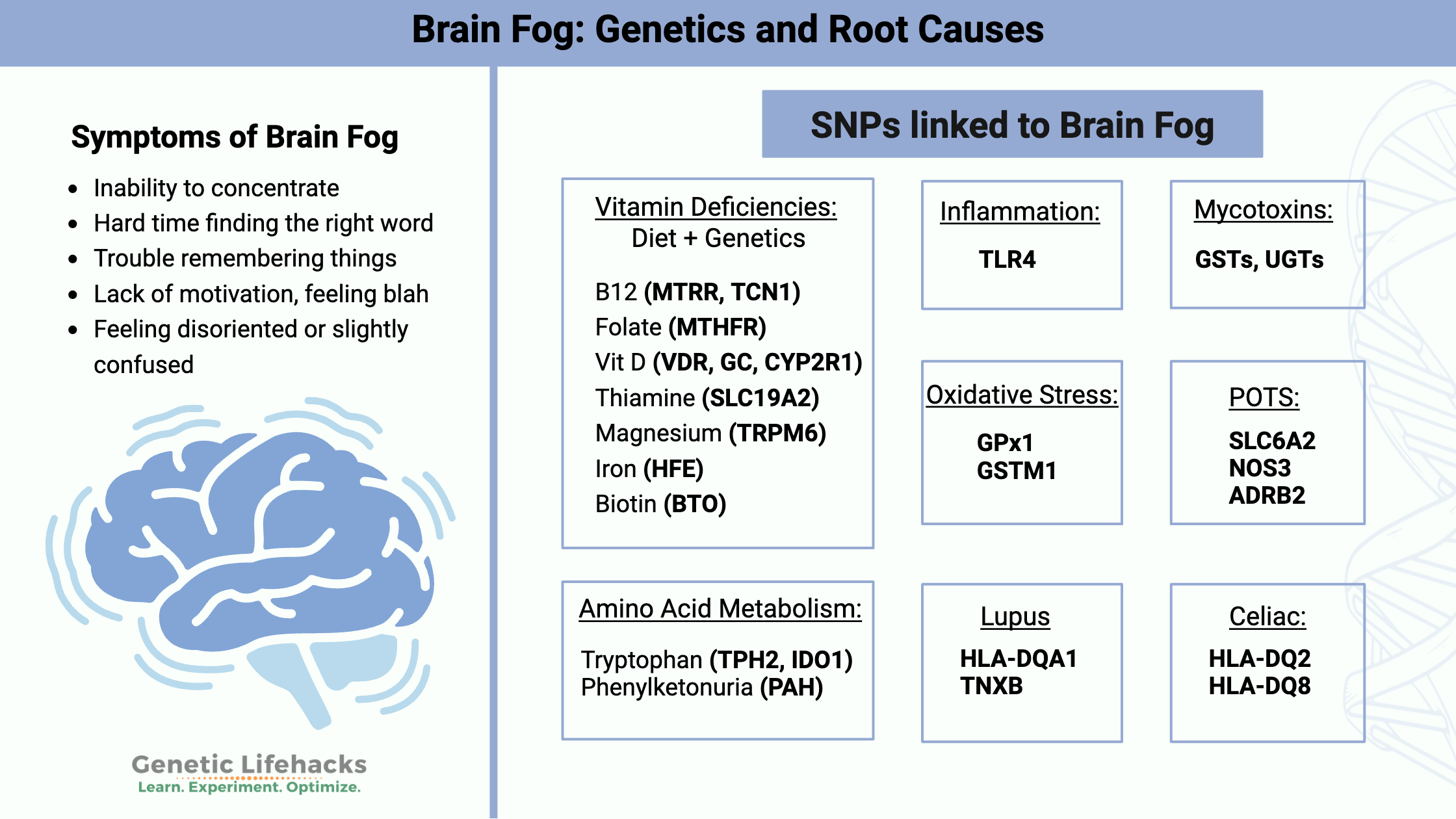 Brain Fog SNPs, Brain fog genetics, brain fog symptoms