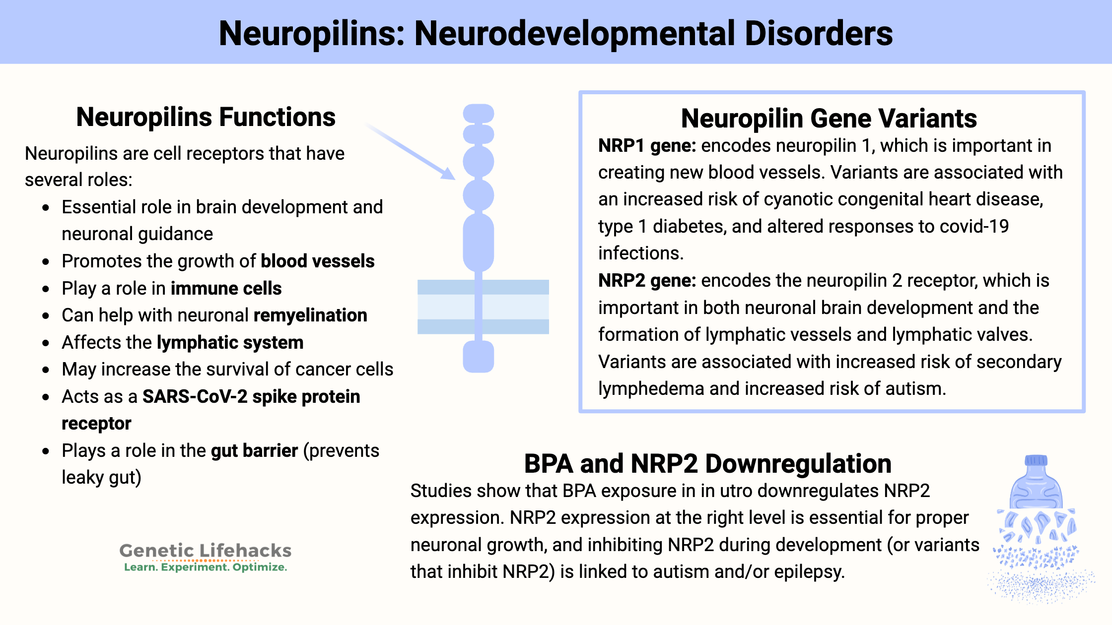 Neuropilins: Neurodevelopmental Disorders, Neuropilins genetic variants, BPA exposure effect on neuropilins