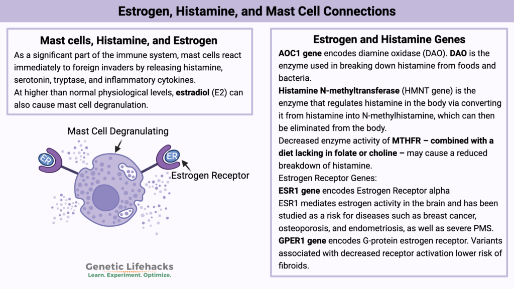 Estrogen, Histamine, and Mast Cell Connections, genetic variants that affect histamine and mast cells, genetic variants that affect estrogen receptors